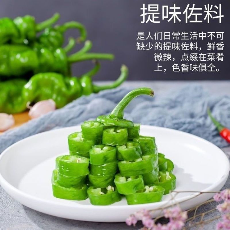 陕北优质螺丝椒，个头大颜色好鲜度高，量大从优欢迎来电。