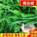 陕北优质螺丝椒，个头大颜色好鲜度高，量大从优欢迎来电。