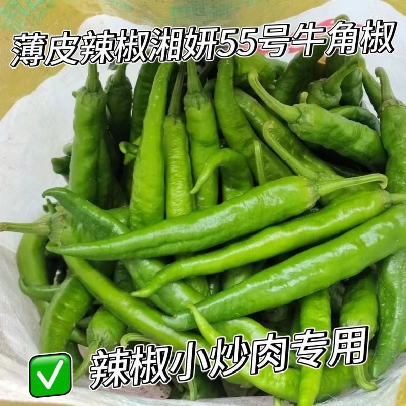 陕北精品牛角辣椒，个头大颜色好鲜度高，价格优，欢迎来电。