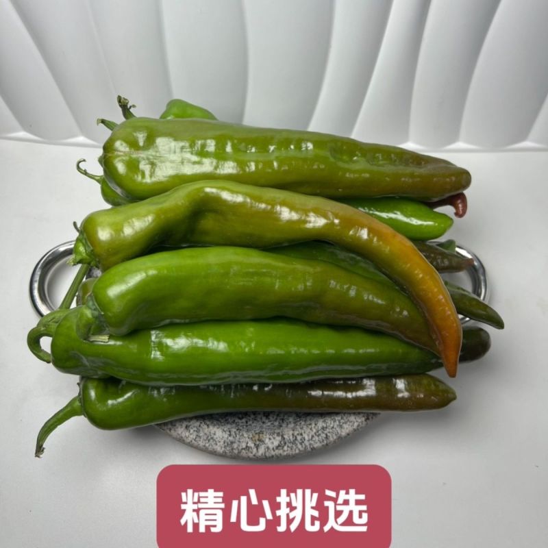 陕北精品牛角辣椒，个头大颜色好鲜度高，价格优，欢迎来电。