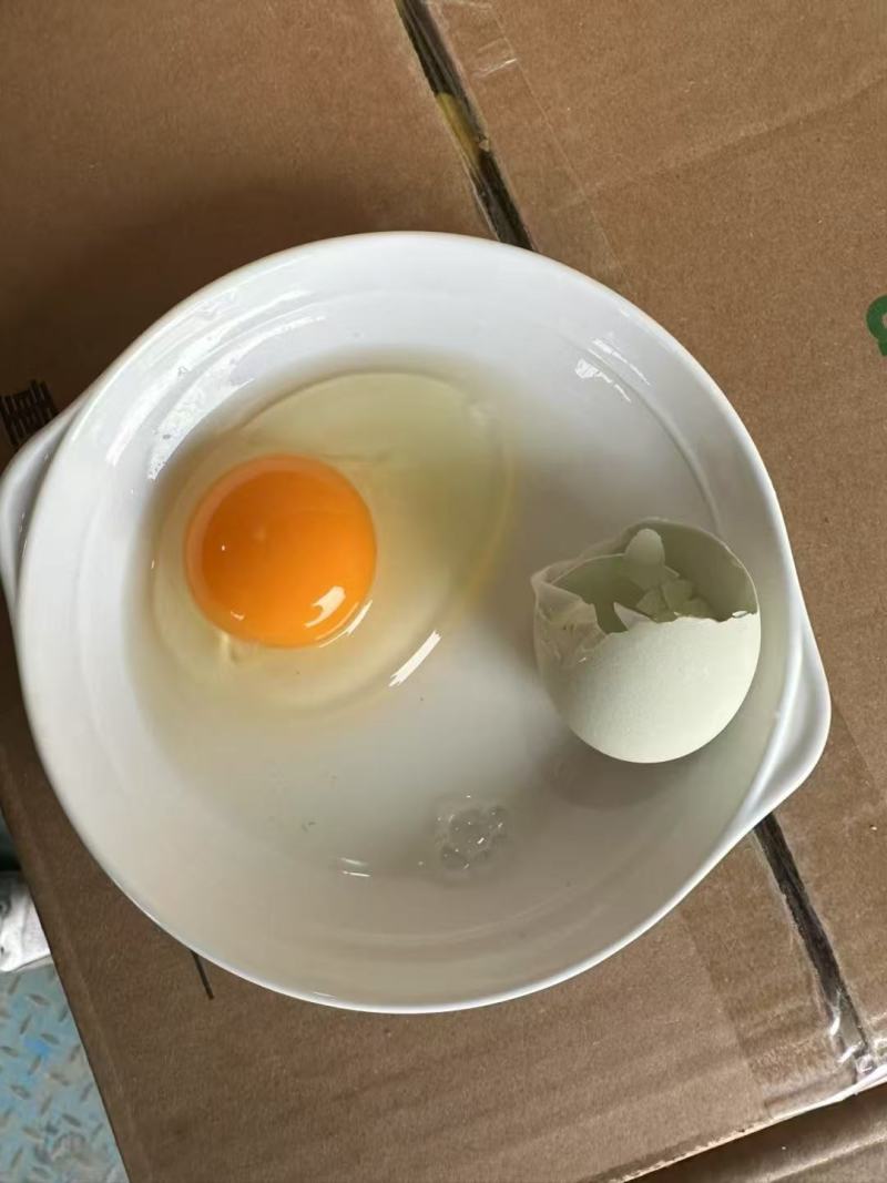 精品绿壳鸡蛋，质量保证一手货源，供超市电商批发市场