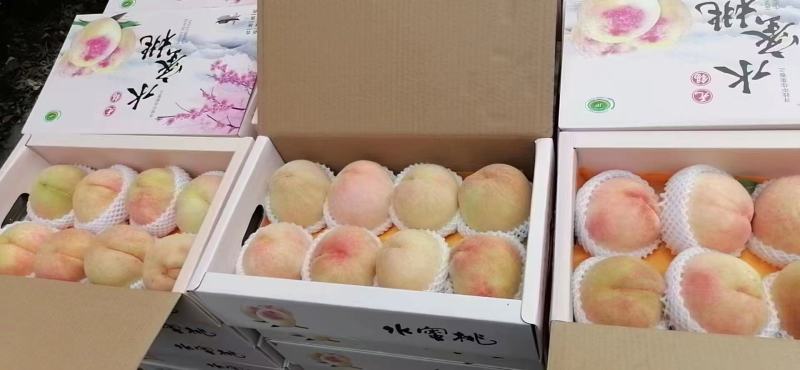 阳山水蜜桃，自产自销，自家果园，新鲜采摘，欢迎咨询