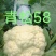 {诚信商家}L600西瓜苗，成活率高技术指导，基地直发。