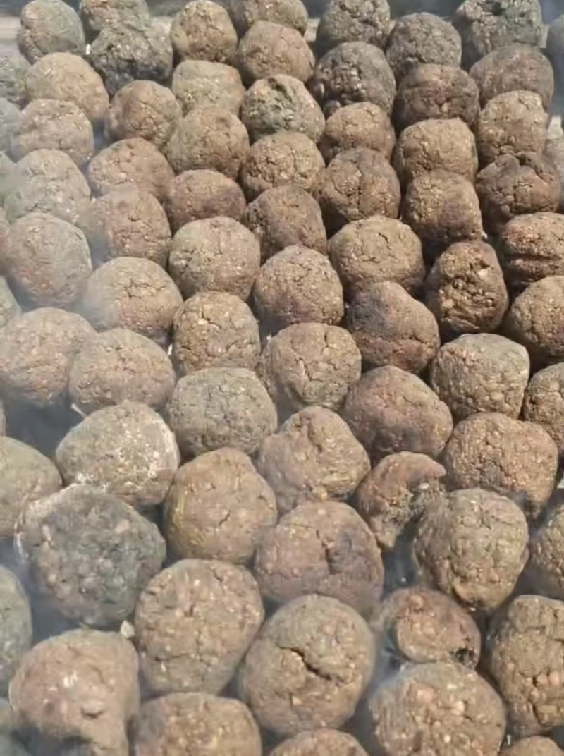云南哈尼豆鼓