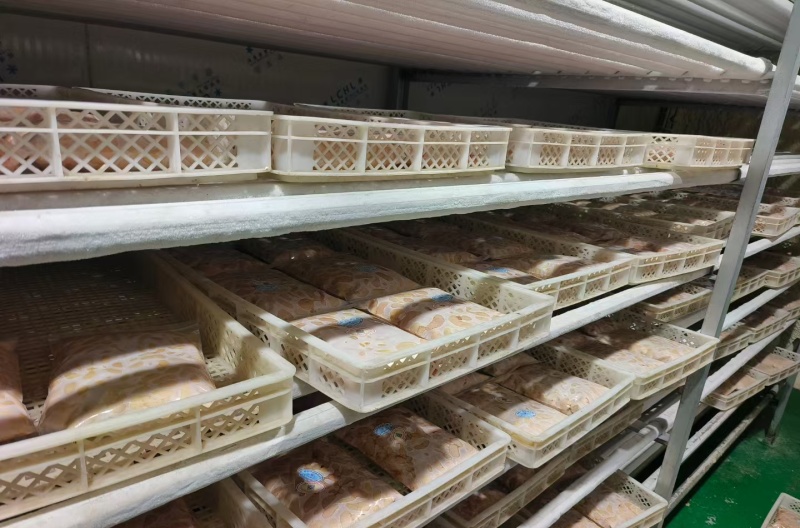 鸡腰鸡肾每天屠宰场新鲜精品货，发货装货一条龙