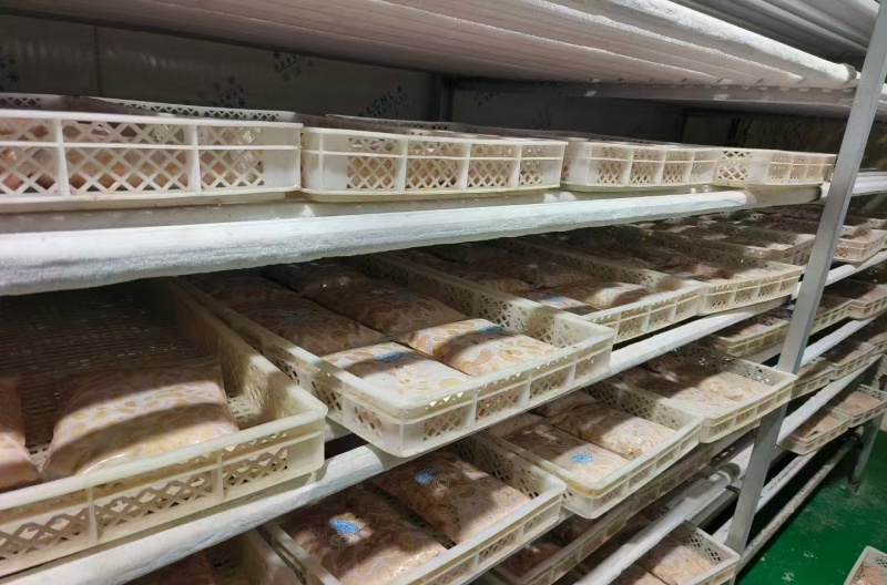 鸡腰鸡肾每天屠宰场新鲜精品货，发货装货一条龙