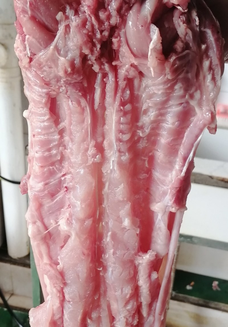 剔骨兔去骨兔