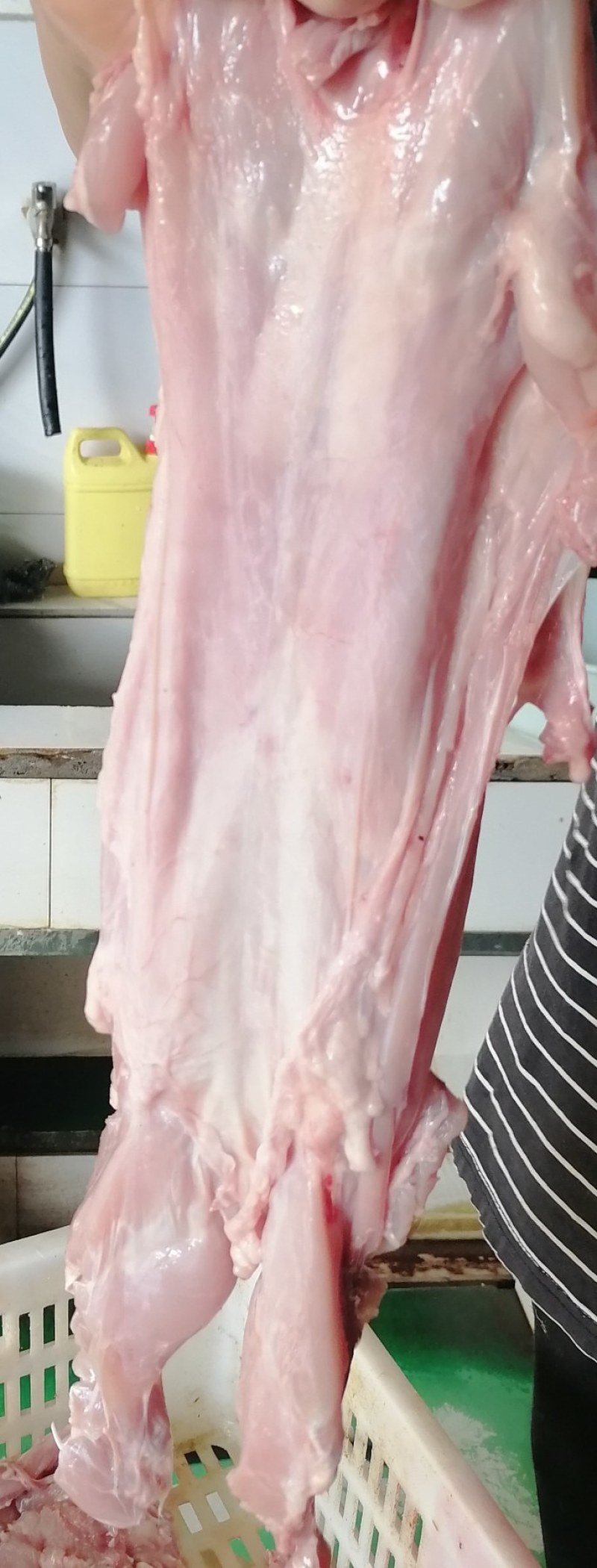 剔骨兔去骨兔