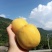 黄桃
