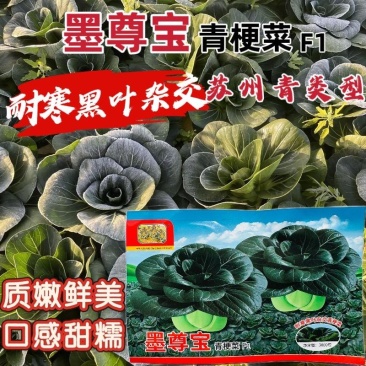 墨尊宝黑叶杂交青梗菜种子甜糯耐寒苏州青种子大头束腰青菜籽