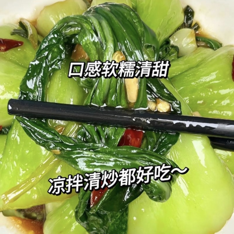 墨尊宝黑叶杂交青梗菜种子甜糯耐寒苏州青种子大头束腰青菜籽