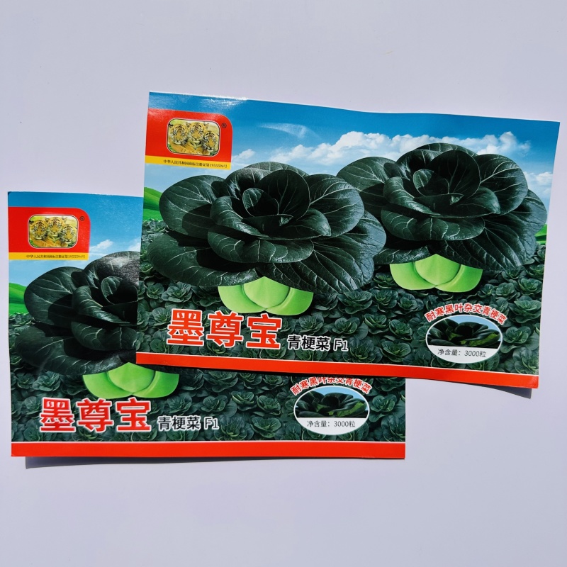 墨尊宝黑叶杂交青梗菜种子甜糯耐寒苏州青种子大头束腰青菜籽