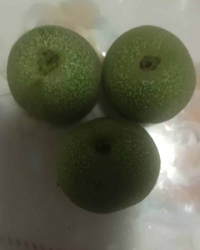 礼品核桃。
