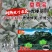 夏尊宝青梗菜种子耐热黑叶大头苏州青菜种子矮脚黑叶菜四季菜