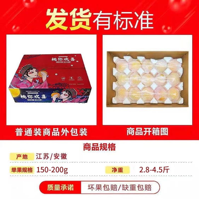 【福椰】正宗黄金蜜甜黄桃新鲜水果当季黄毛桃桃子孕妇水果礼盒装