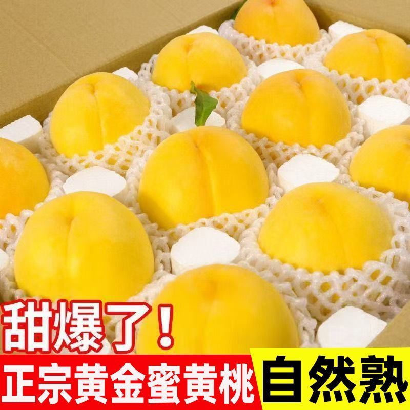 【福椰】正宗黄金蜜甜黄桃新鲜水果当季黄毛桃桃子孕妇水果礼盒装