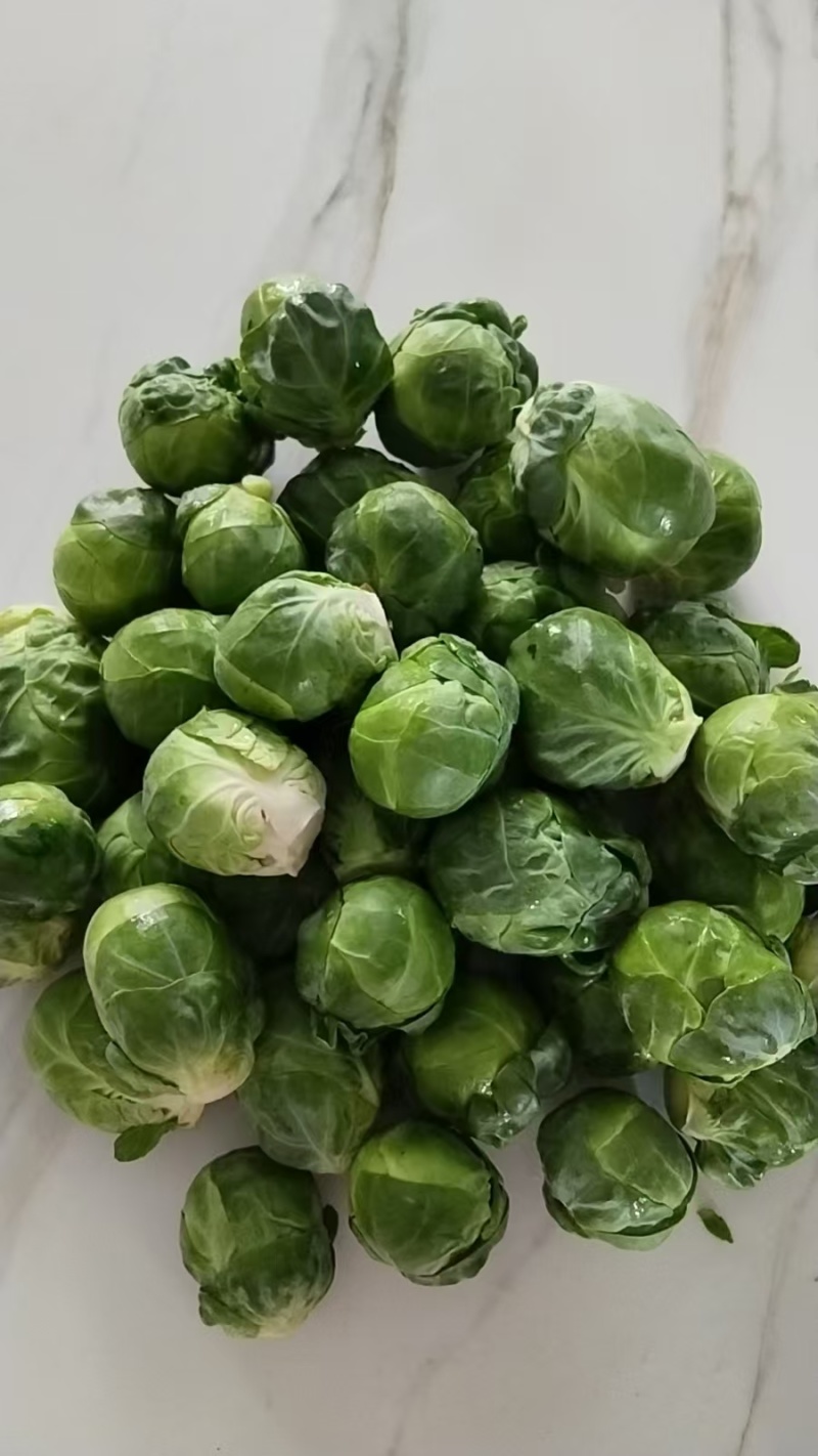 云南昆明抱子甘蓝，基地一手货源直发，品质优良，视频看货