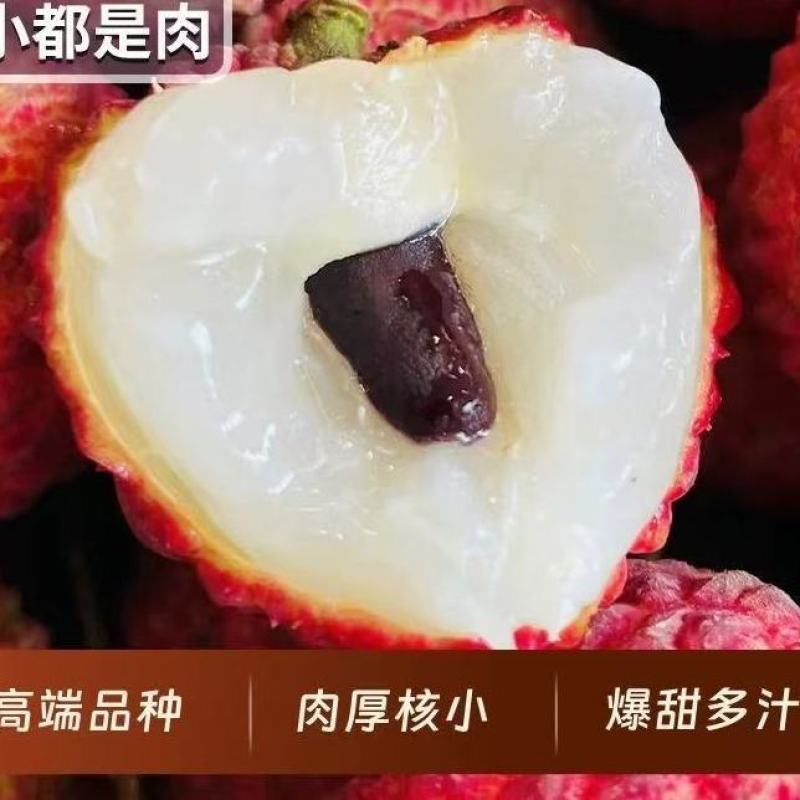 【顺丰上门】广东糯米糍荔枝现摘核小肉厚高端新鲜水果肉厚核小