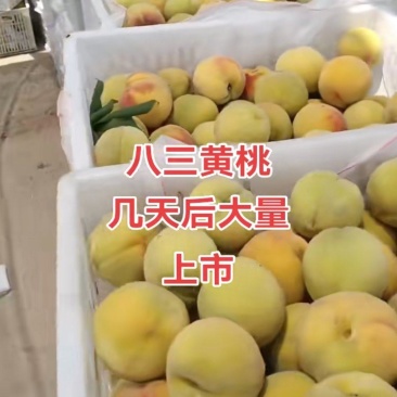 量大从优
