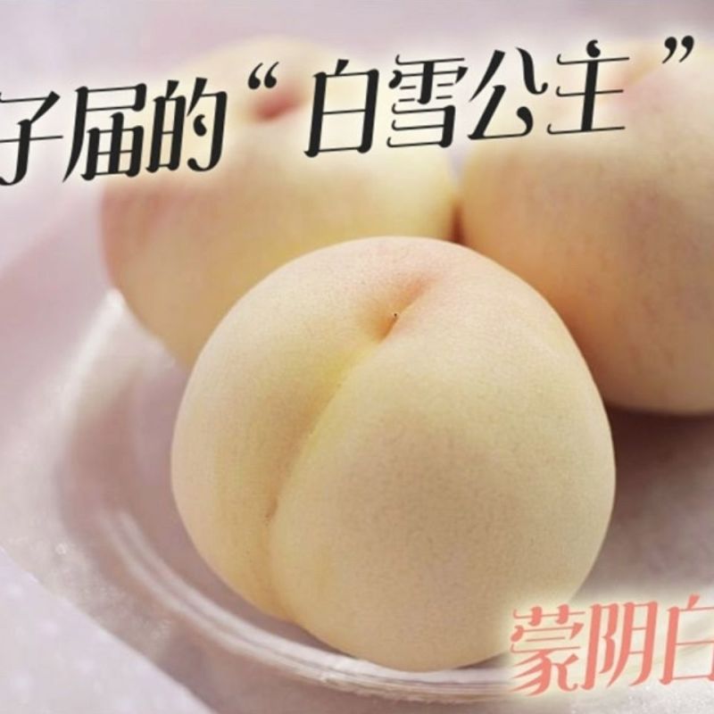 正宗山东蒙阴奶油大白桃白玉桃脆甜毛桃水蜜桃新鲜应季罕见水果