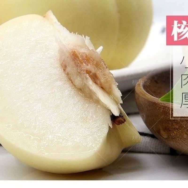 正宗山东蒙阴奶油大白桃白玉桃脆甜毛桃水蜜桃新鲜应季罕见水果
