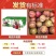 【顺丰包邮】正宗广东三华李红心脆李子孕妇水果4.8斤礼盒彩箱