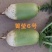 箐莹6号三系杂交青萝卜种籽青皮浅绿肉萝卜种子耐热夏秋季播