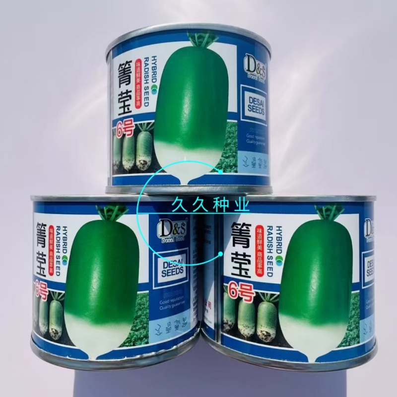 箐莹6号三系杂交青萝卜种籽青皮浅绿肉萝卜种子耐热夏秋季播