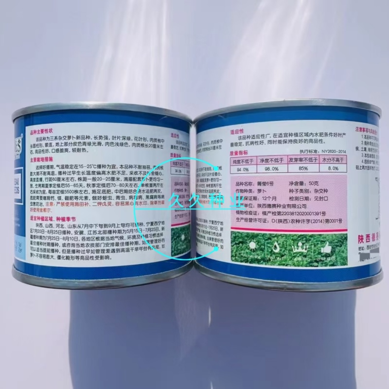 箐莹6号三系杂交青萝卜种籽青皮浅绿肉萝卜种子耐热夏秋季播