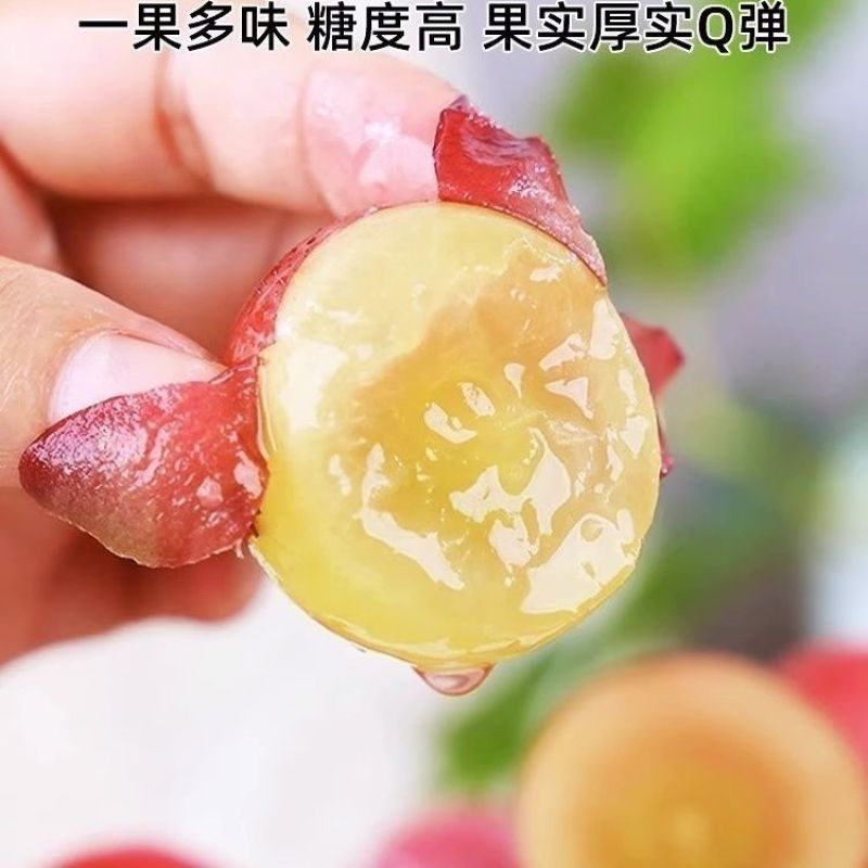 【超高端礼盒】云南妮娜皇后妮娜公主葡萄无籽孕妇当季整箱薄皮