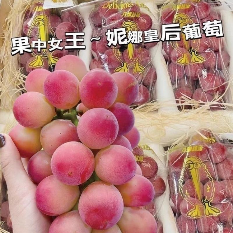 【超高端礼盒】云南妮娜皇后妮娜公主葡萄无籽孕妇当季整箱薄皮