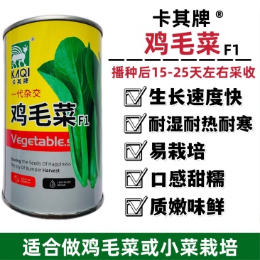 杂交鸡毛菜种子耐热耐湿青梗菜种子速生小菜种籽甜糯四季蔬菜