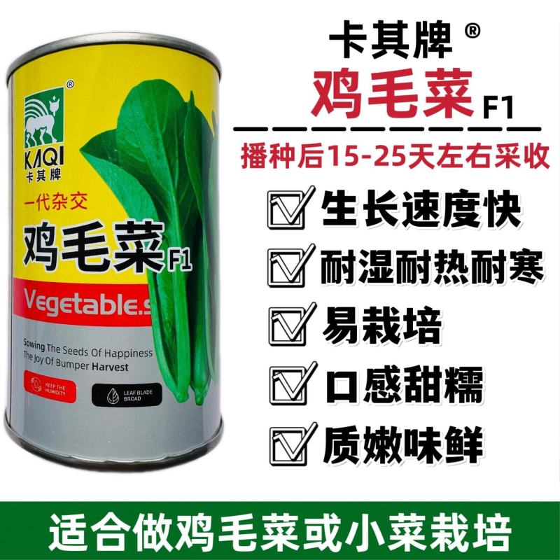 杂交鸡毛菜种子耐热耐湿青梗菜种子速生小菜种籽甜糯四季蔬菜