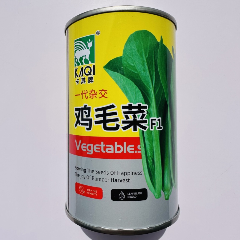 杂交鸡毛菜种子耐热耐湿青梗菜种子速生小菜种籽甜糯四季蔬菜