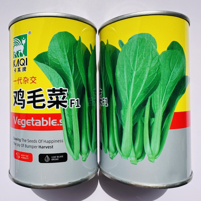 杂交鸡毛菜种子耐热耐湿青梗菜种子速生小菜种籽甜糯四季蔬菜