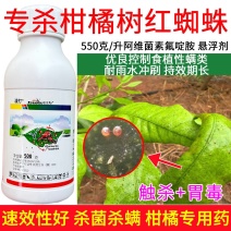 柑橘树红蜘蛛阿维菌素氟啶胺漫打iu田友杀菌杀螨
