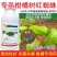 柑橘树红蜘蛛阿维菌素氟啶胺漫打iu田友杀菌杀螨