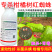 柑橘树红蜘蛛阿维菌素氟啶胺漫打iu田友杀菌杀螨