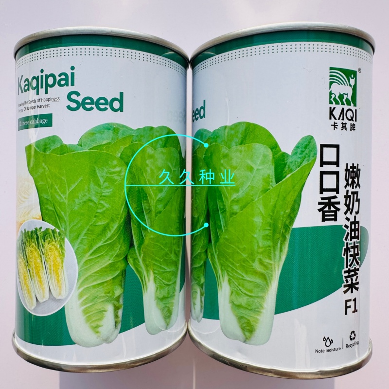 卡其口口香嫩奶油快菜种子四季速生甜脆奶油奶白菜