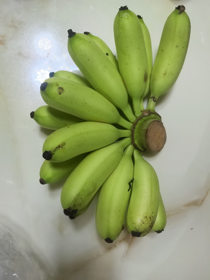 海南皇帝蕉大量走货质量保证一手货源量大优惠全国发货
