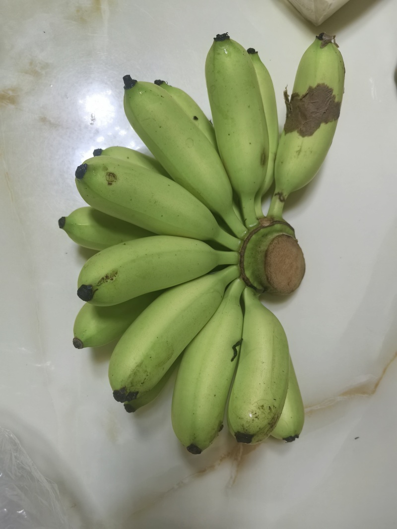 海南皇帝蕉大量走货质量保证一手货源量大优惠全国发货