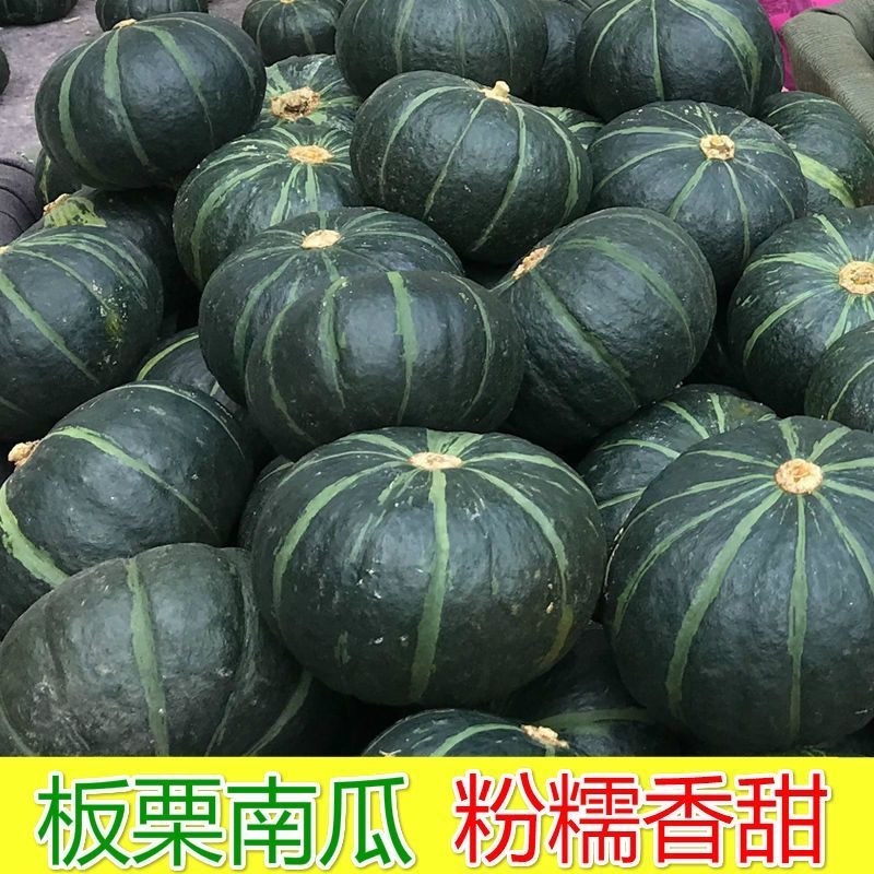新鲜板栗南瓜板栗南瓜南瓜批发产地直发