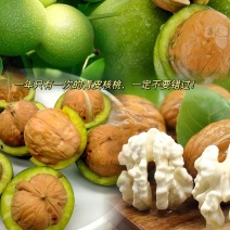 大凉山新鲜核桃