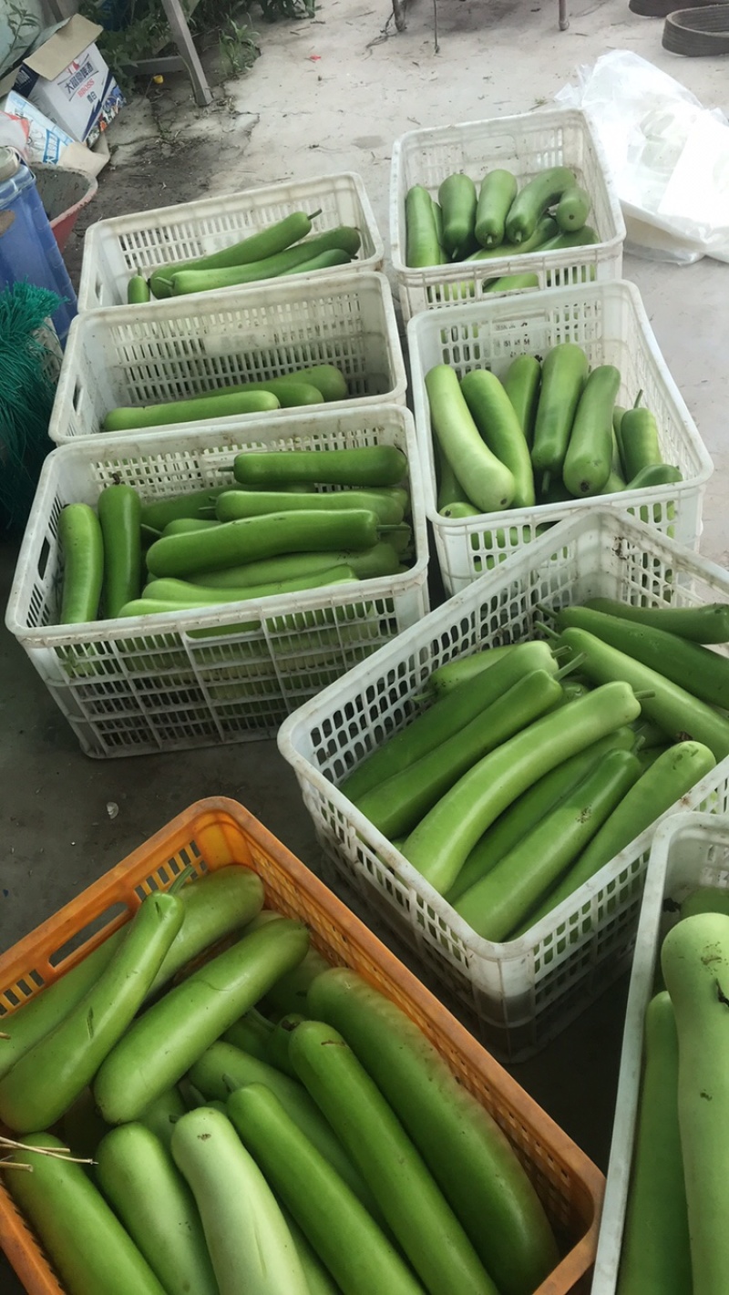 食堂货，量大速度