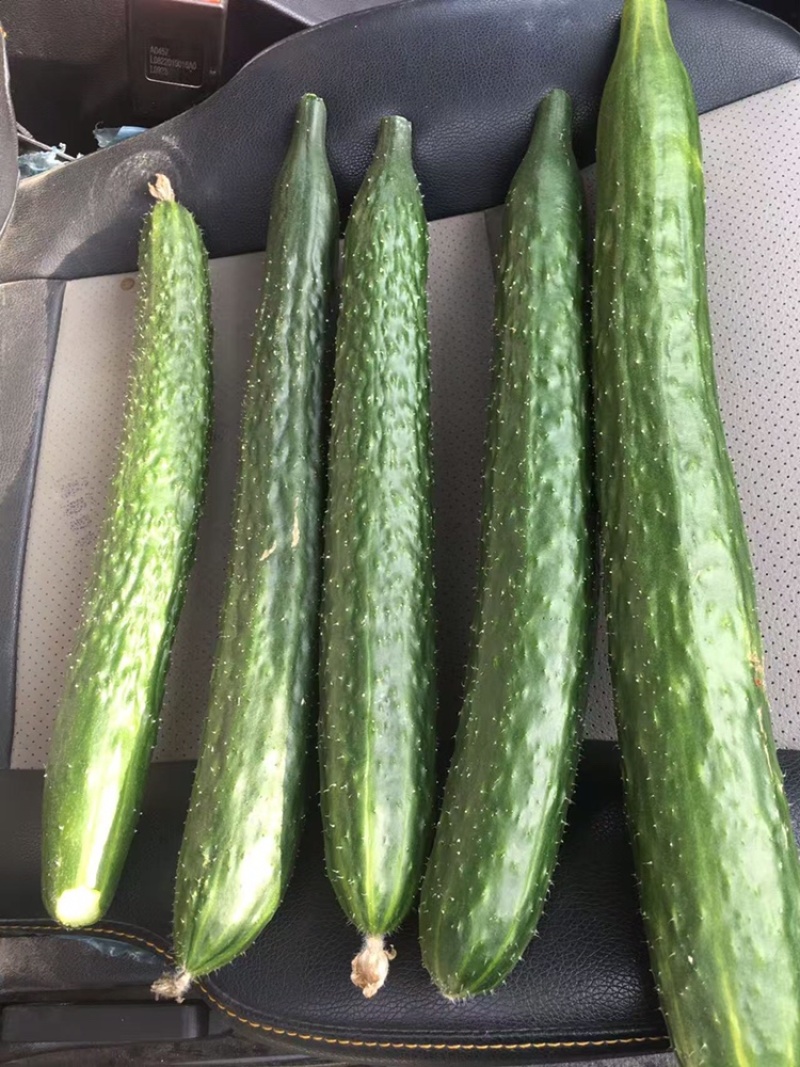 食堂货，量大速度