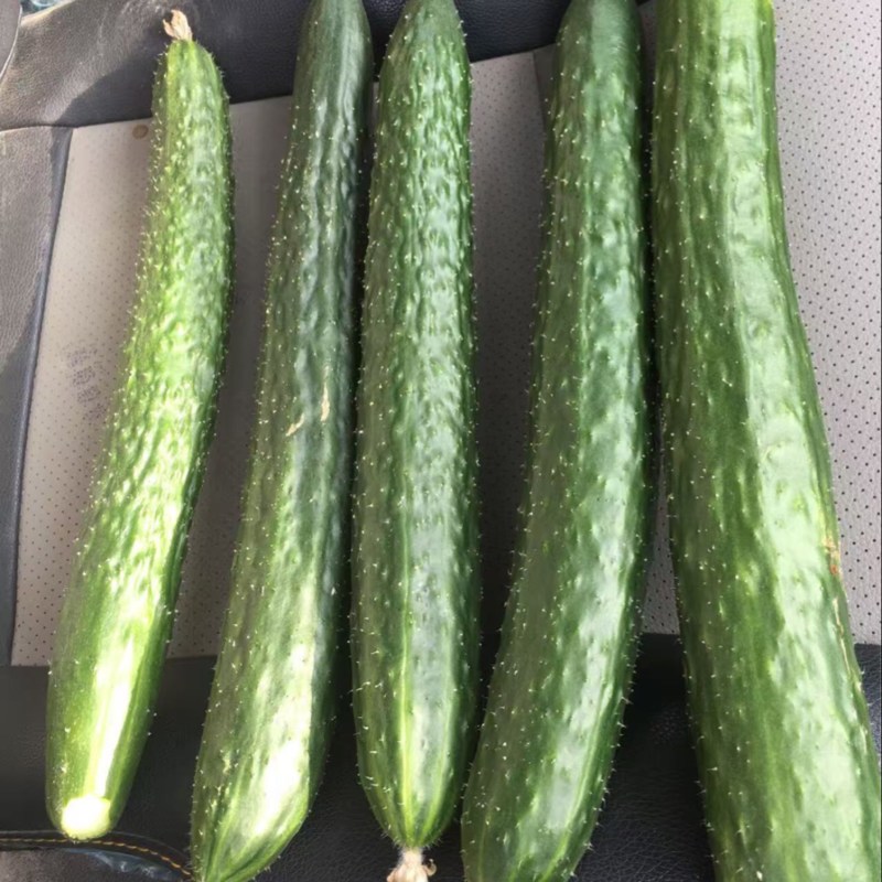 食堂货，量大速度