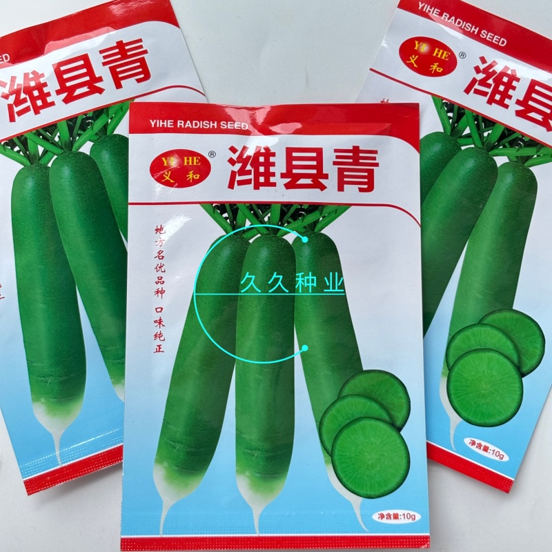 潍县青萝卜种子冰糖水果萝卜生吃脆甜盆栽四季播农家蔬菜