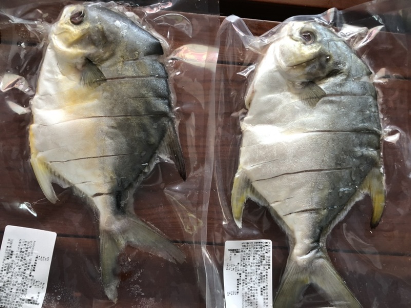 4-5两/5-6两淡口金鲳鱼