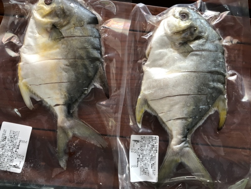 4-5两/5-6两淡口金鲳鱼