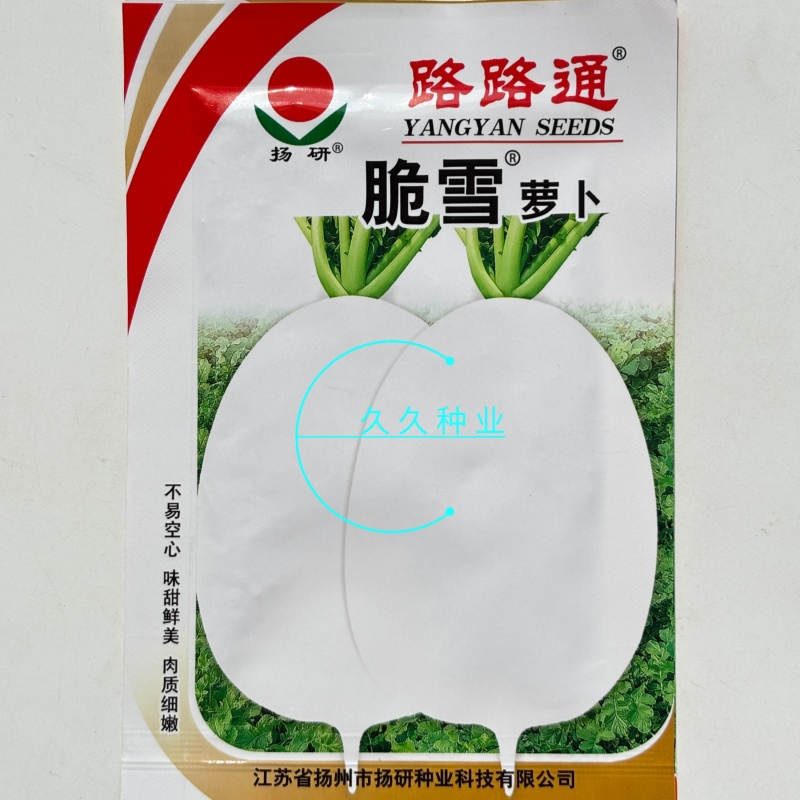 路路通脆雪萝卜种子白萝卜肉质细嫩味甜鲜美适宜生食熟食和腌